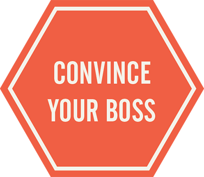 convince your boss 2